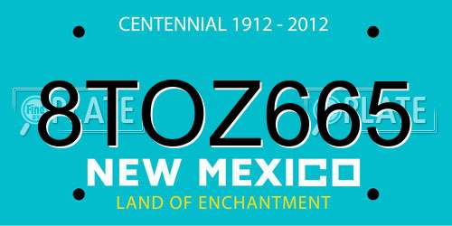 8TOZ665 New Mexico License Plate