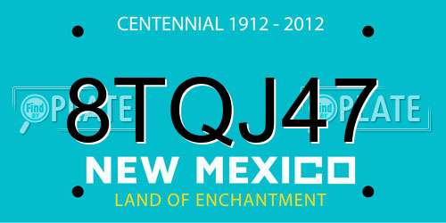 8TQJ47 New Mexico License Plate