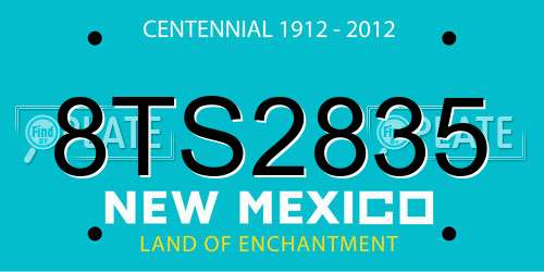 8TS2835 New Mexico License Plate