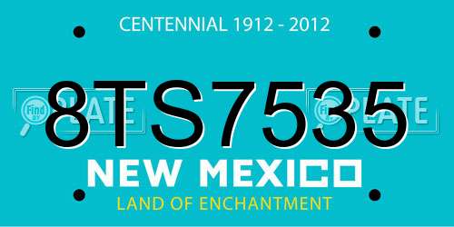 8TS7535 New Mexico License Plate