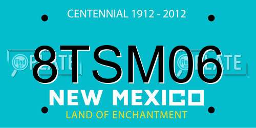 8TSM06 New Mexico License Plate