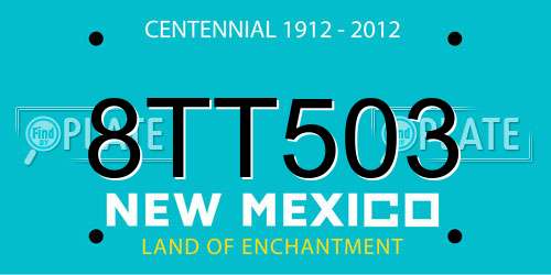 8TT503 New Mexico License Plate