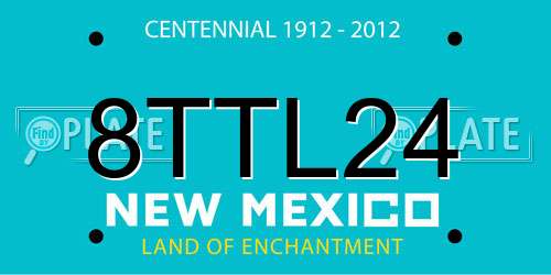 8TTL24 New Mexico License Plate