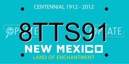 8TTS91 New Mexico License Plate