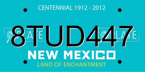 8TUD447 New Mexico License Plate