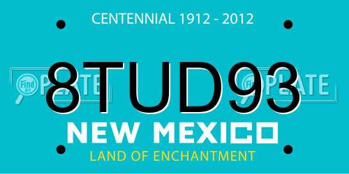 8TUD93 New Mexico License Plate
