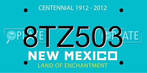 8TZ503 New Mexico License Plate