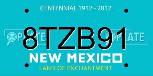8TZB91 New Mexico License Plate