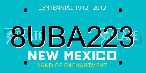 8UBA223 New Mexico License Plate