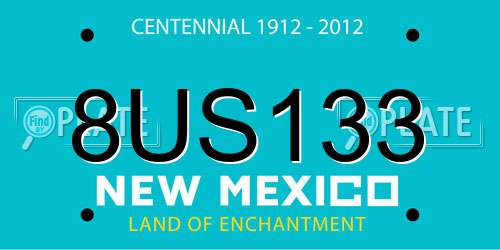 8US133 New Mexico License Plate