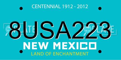 8USA223 New Mexico License Plate
