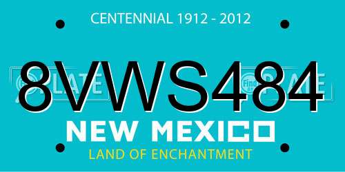 8VWS484 New Mexico License Plate