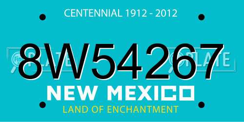 8W54267 New Mexico License Plate