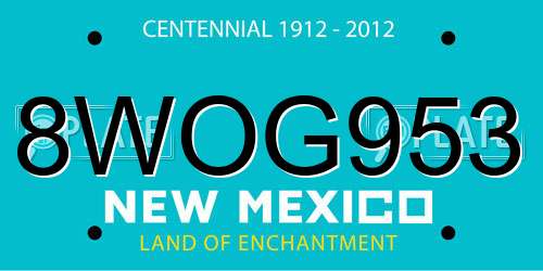 8WOG953 New Mexico License Plate