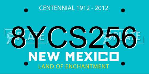 8YCS256 New Mexico License Plate