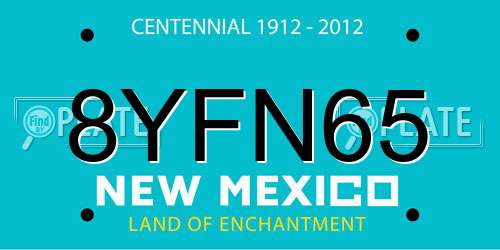 8YFN65 New Mexico License Plate