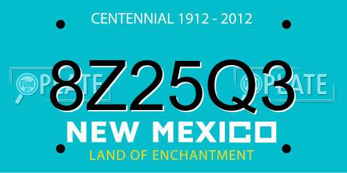 8Z25Q3 New Mexico License Plate