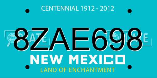 8ZAE698 New Mexico License Plate