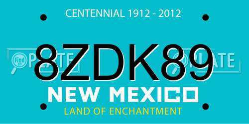 8ZDK89 New Mexico License Plate