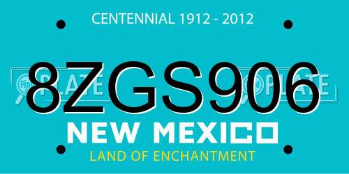 8ZGS906 New Mexico License Plate