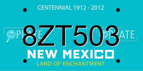 8ZT503 New Mexico License Plate