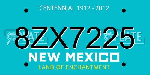 8ZX7225 New Mexico License Plate