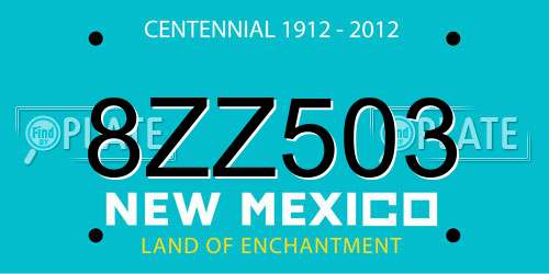 8ZZ503 New Mexico License Plate