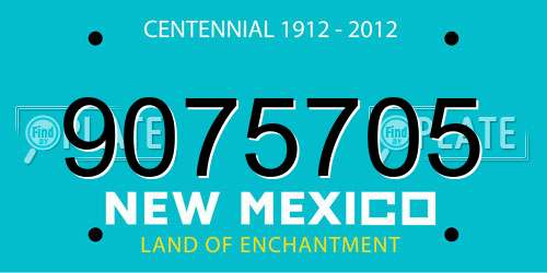 9075705 New Mexico License Plate