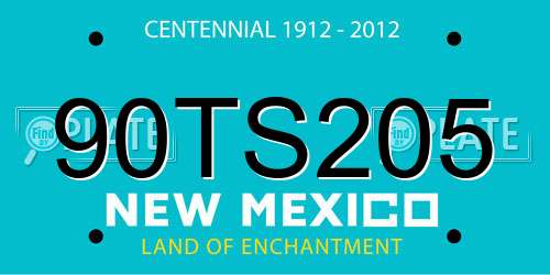 90TS205 New Mexico License Plate