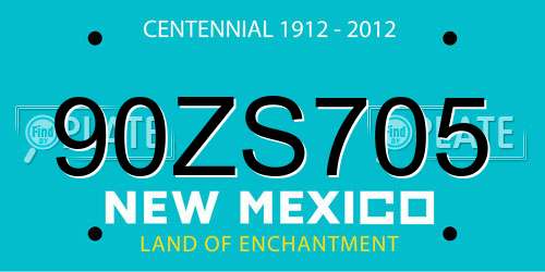 90ZS705 New Mexico License Plate