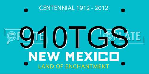 910TGS New Mexico License Plate