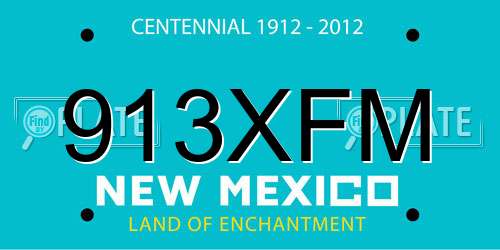 913XFM New Mexico License Plate
