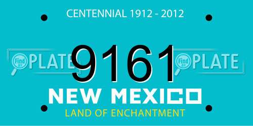9161 New Mexico License Plate