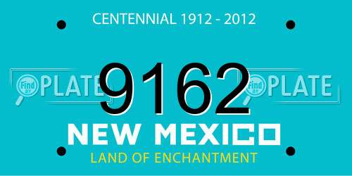 9162 New Mexico License Plate