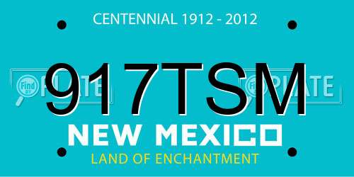 917TSM New Mexico License Plate