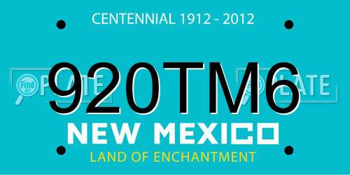 920TM6 New Mexico License Plate
