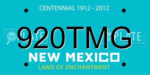 920TMG New Mexico License Plate
