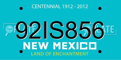 92IS856 New Mexico License Plate