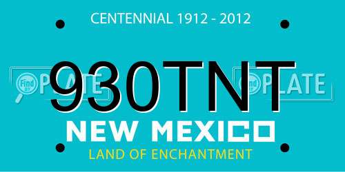 930TNT New Mexico License Plate