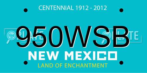 950WSB New Mexico License Plate