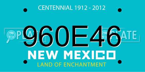 960E46 New Mexico License Plate