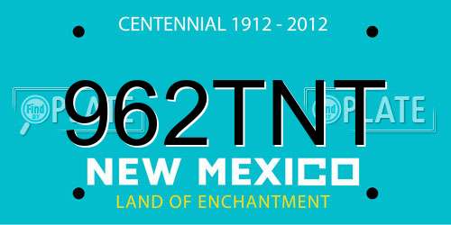 962TNT New Mexico License Plate