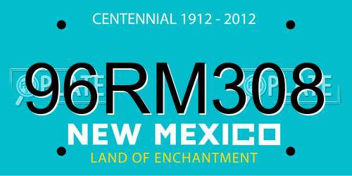 96RM308 New Mexico License Plate