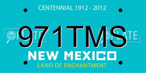 971TMS New Mexico License Plate