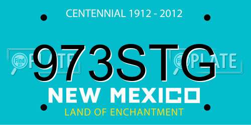 973STG New Mexico License Plate