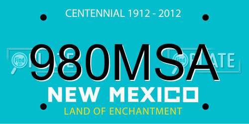 980MSA New Mexico License Plate