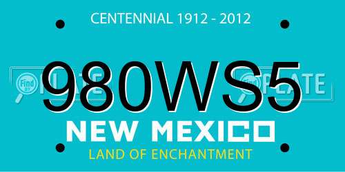 980WS5 New Mexico License Plate