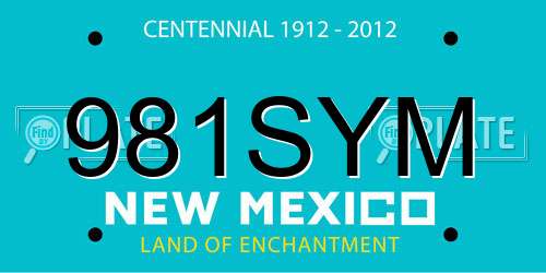 981SYM New Mexico License Plate