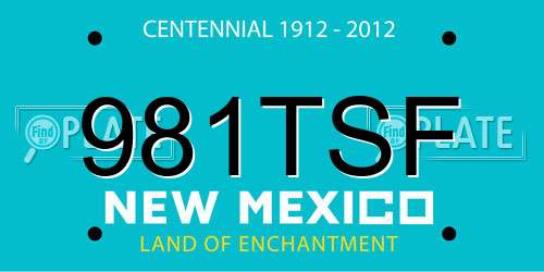 981TSF New Mexico License Plate