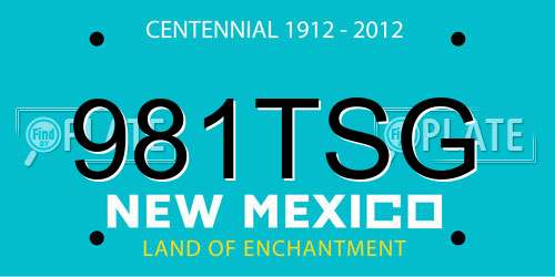 981TSG New Mexico License Plate
